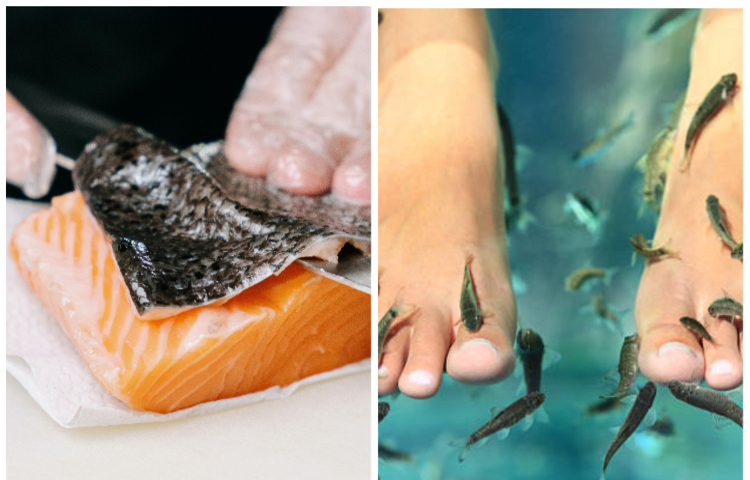 খাওয়া ছাড়াও মাছ যেসব কাজে লাগে