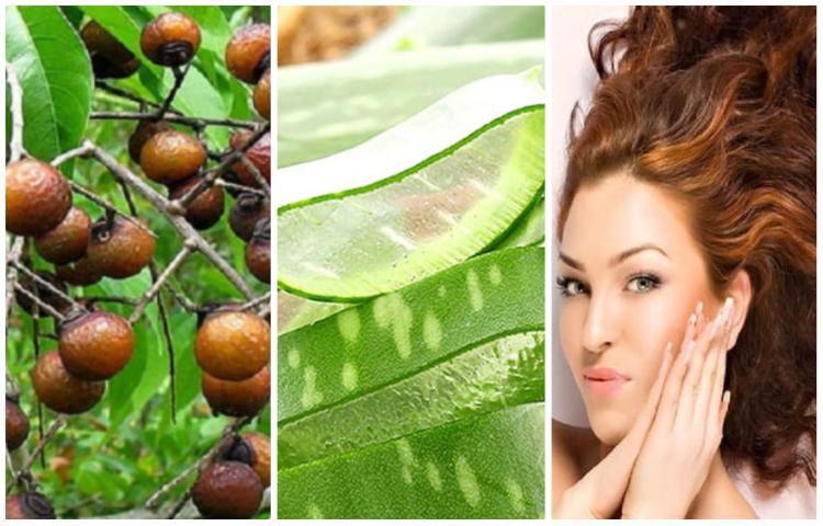 যে ৪ আয়ুর্বেদিক উপাদান চুলের সমস্যা দূর করবে