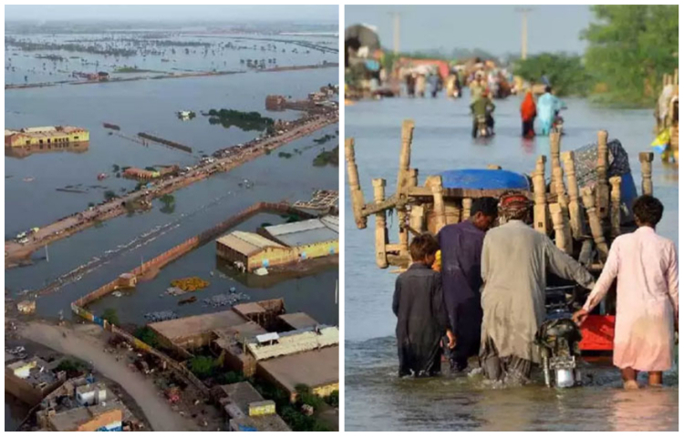 দেখুন পাকিস্তানের ভয়াবহ বন্যা পরিস্থিতি