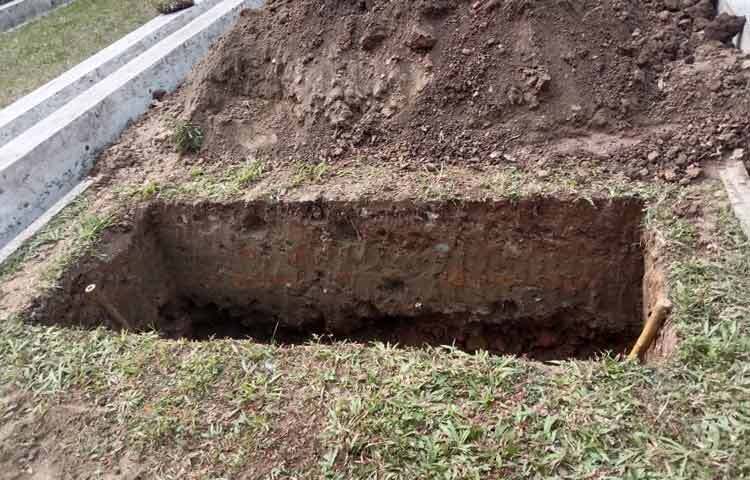 আজকের আলোচিত ছবি: ২০ ডিসেম্বর ২০২৫