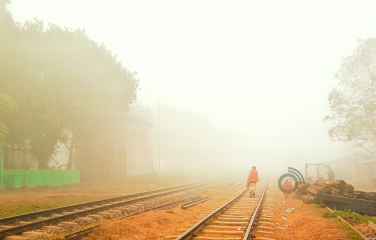চায়ের শহরে কুয়াশার চাদর