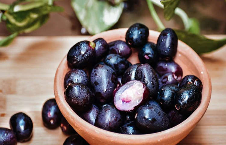 গ্রীষ্মের রসালো জাম শুধু স্বাদেই নয়, উপকারেও অনন্য