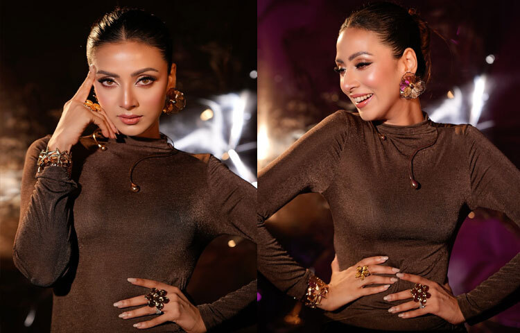 ডার্ক চকলেট ড্রেসে আবেদনময়ী মিম