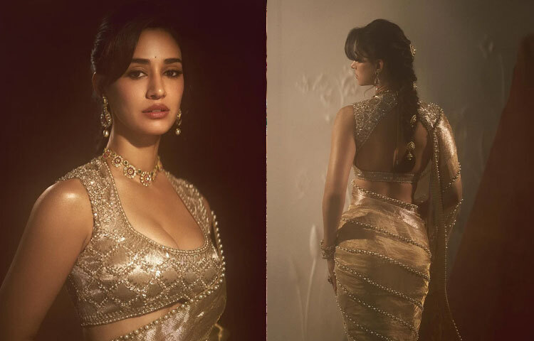 মোহময়ী সোনালি আভায় নজরকাড়া দিশা