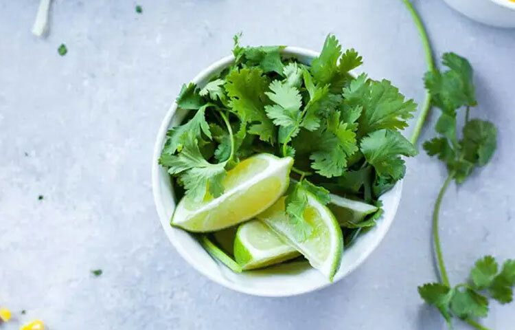 ধনেপাতার পুষ্টিগুণ