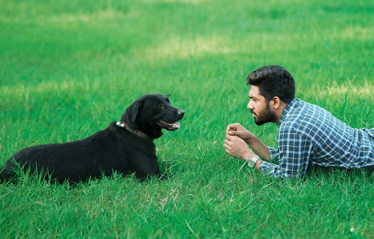 মূকাভিনয় থেকে পর্দার নায়ক, খায়রুল বাসারের অভিনয় নন্দন