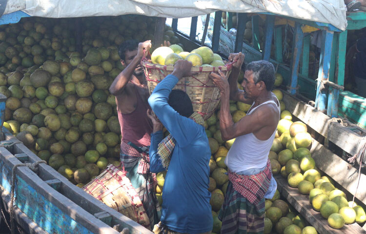 পাহাড়ের জাম্বুরার সুনাম এখন দেশজুড়ে