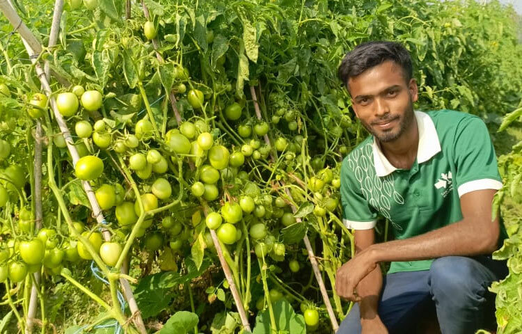 আগাম সবজি চাষে সফল জিসান