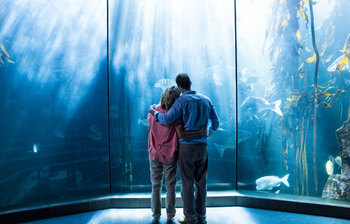 বিয়ের আগে বিশ্বের জমকালো ৬ ফটোশুট