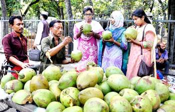 গরমের প্রশান্তি ডাব