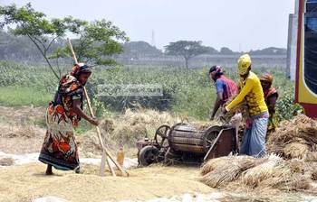 তাদের শ্রমে অন্ন জোটে