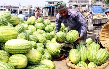 সদরঘাটে তরমুজের রাজ্য