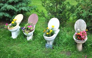 অদ্ভুত সব ফুল বাগান