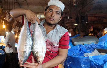 ইলিশের বাজারে বৈশাখী উত্তাপ