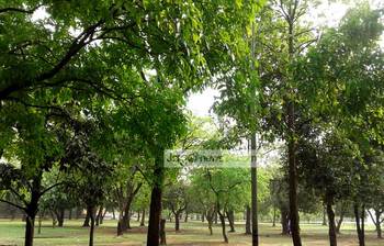 চোখ জুড়ানো বাংলাদেশ