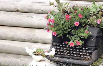 অদ্ভুত পুষ্প উদ্যান