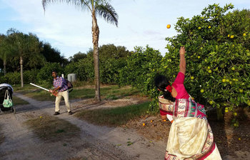 ক্রিকেট খেলার ভিন্ন আয়োজন