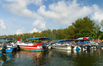 নয়নাভিরাম কিলিম জিওফরেস্ট