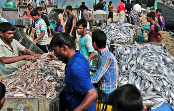 মৎসজীবী মানুষের গল্প