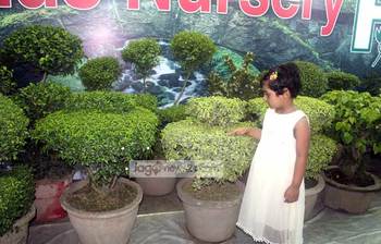 নগরে নিসর্গ গড়ে তুলুন