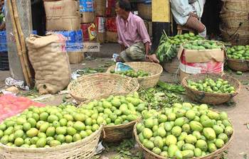 কারওয়ান বাজারের কাঁচা আম