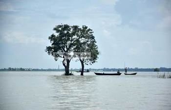 কিশোরগঞ্জের হাওরের চোখ জুড়ানো দৃশ্য