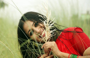 বহুমুখী লিটা