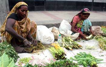 রাজধানীতে বুনো সবজির হাট