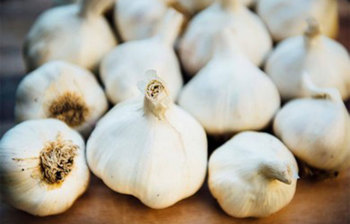 শরীরে যে সমস্যাগুলো থাকলে রসুন খাবেন না