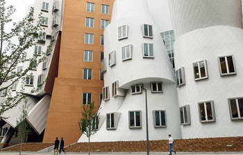 বিশ্বসেরা ৭ বিশ্ববিদ্যালয়