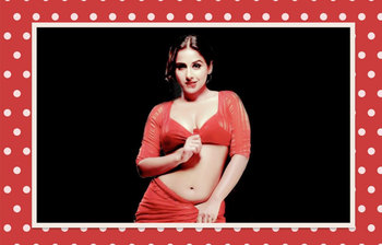 বলিউডের জনপ্রিয় খলনায়িকারা