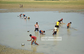 হাওরে মাছ ধরার উৎসব