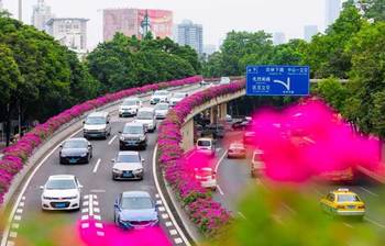 চীনের ফুলেল ফ্লাইওভার