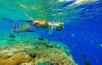 যেজন্য গ্রেট ব্যারিয়ার রিফ পৃথিবীর বিস্ময়