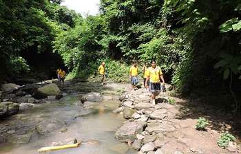 চোখজুড়ানো নাপিত্তাছড়া ট্রেইল