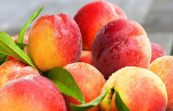 প্রতিদিন পিচ খাওয়ার ৫ উপকারিতা