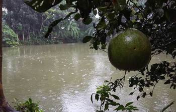 শরতে হঠাৎ বৃষ্টি