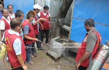 চিকুনগুনিয়া প্রতিরোধে মশক নিধন