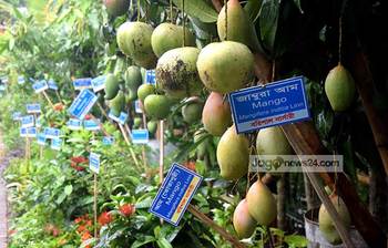 পরিবেশ মেলায় চোখজুড়ানো বৃক্ষ