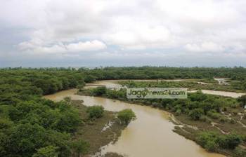 ঘুরে আসুন রাতারগুল