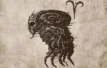 জেনে নিন ২০১৮ সালের আপনার রাশিফল