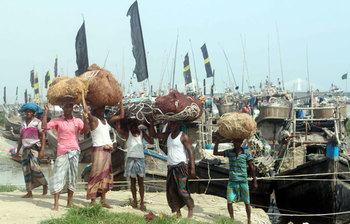 সাগর থেকে ফিরেছেন জেলেরা