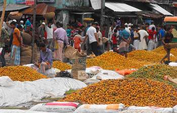 পিরোজপুরের সুপারির হাট