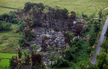নৃশংসতায় পুড়ে ছাই রোহিঙ্গাদের গ্রাম