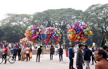 বিজয়ের দিনে আনন্দ ভ্রমণ