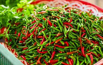 জেনে নিন কাঁচা মরিচের ঔষধি ৫ গুণ