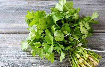 ধনেপাতার অজানা ৭টি স্বাস্থ্যগুণ জেনে নিন