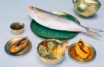 এই বর্ষায় ইলিশের নানা পদ