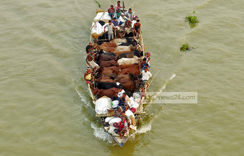 রাজধানীর হাটে কুরবানির পশু আসছে