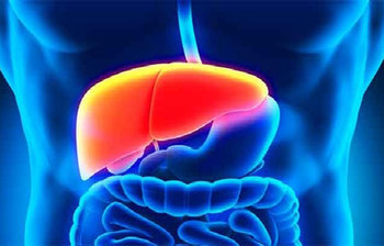 লিভার ভালো রাখতে যেসব খাবার খাবেন